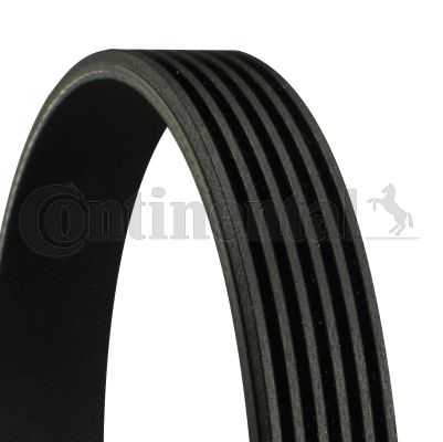 CONTINENTAL, Genuine Continental Audi Jeep Mercedes-Benz V-Ribbed Belt